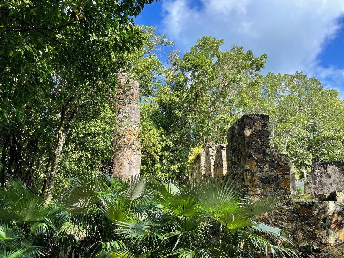 Cinnamon Bay Ruins